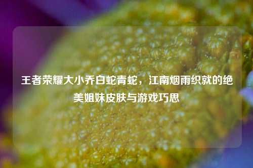 王者荣耀大小乔白蛇青蛇，江南烟雨织就的绝美姐妹皮肤与游戏巧思