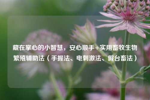 藏在掌心的小智慧，安心顺手+实用畜牧生物繁殖辅助法（手握法、电刺激法、假台畜法）