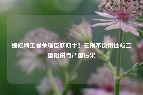 别碰刷王者荣耀皮肤助手！它根本没用还藏三重陷阱与严重后果