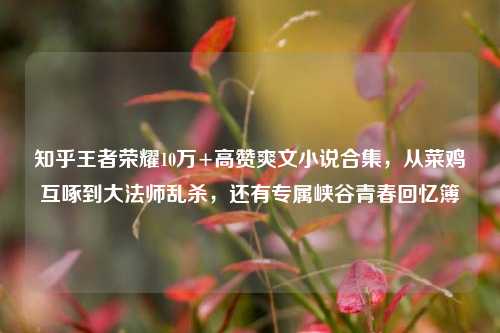 知乎王者荣耀10万+高赞爽文小说合集，从菜鸡互啄到大法师乱杀，还有专属峡谷青春回忆簿