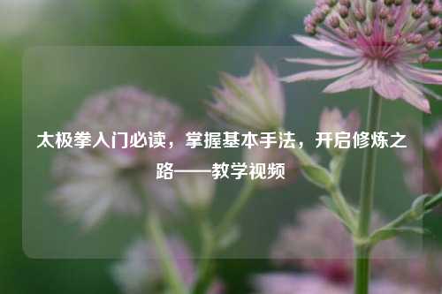 太极拳入门必读，掌握基本手法，开启修炼之路——教学视频
