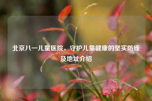 北京八一儿童医院，守护儿童健康的坚实防线及地址介绍
