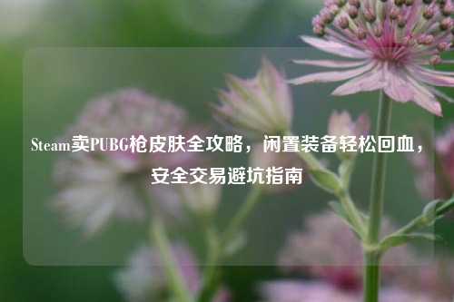 Steam卖PUBG枪皮肤全攻略，闲置装备轻松回血，安全交易避坑指南
