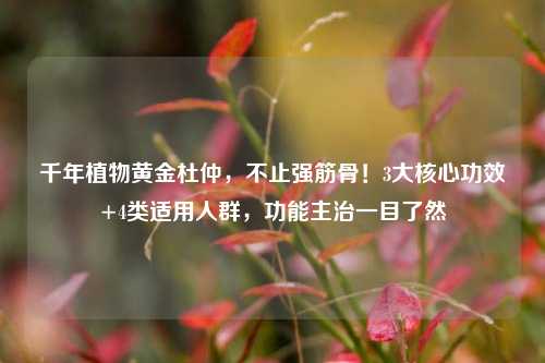 千年植物黄金杜仲，不止强筋骨！3大核心功效+4类适用人群，功能主治一目了然
