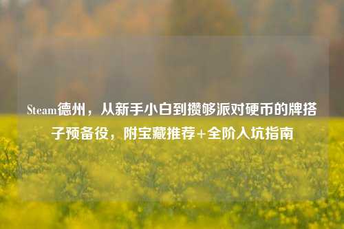Steam德州，从新手小白到攒够派对硬币的牌搭子预备役，附宝藏推荐+全阶入坑指南