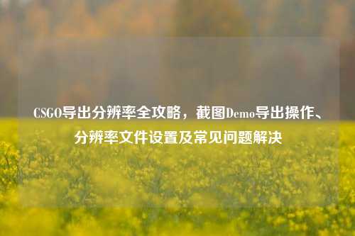CSGO导出分辨率全攻略，截图Demo导出操作、分辨率文件设置及常见问题解决
