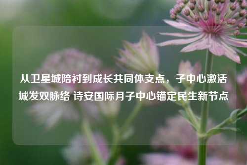 从卫星城陪衬到成长共同体支点，子中心激活城发双脉络 诗安国际月子中心锚定民生新节点