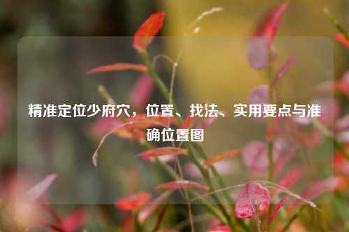 精准定位少府穴，位置、找法、实用要点与准确位置图