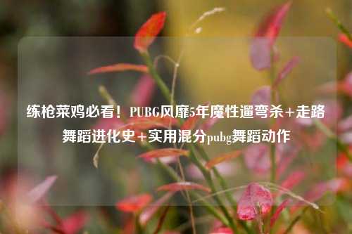 练枪菜鸡必看！PUBG风靡5年魔性遛弯杀+走路舞蹈进化史+实用混分pubg舞蹈动作