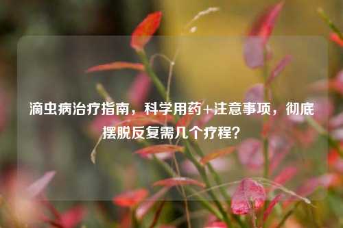 滴虫病治疗指南，科学用药+注意事项，彻底摆脱反复需几个疗程？