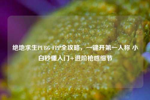 绝地求生PUBG FPP全攻略，一键开第一人称 小白秒懂入门+进阶枪感细节