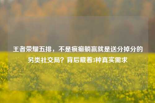 王者荣耀五排，不是疯癫躺赢就是送分掉分的另类社交局？背后藏着3种真实需求