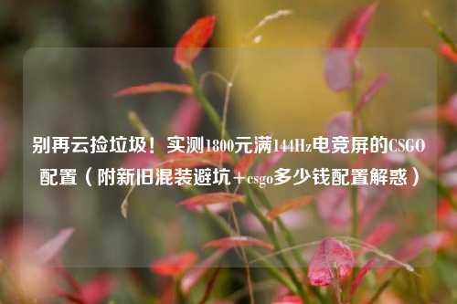 别再云捡垃圾！实测1800元满144Hz电竞屏的CSGO配置（附新旧混装避坑+csgo多少钱配置解惑）