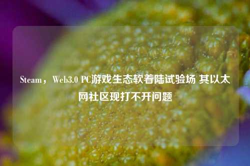 Steam，Web3.0 PC游戏生态软着陆试验场 其以太网社区现打不开问题