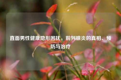 直面男性健康隐形困扰，前列腺炎的真相、预防与治疗