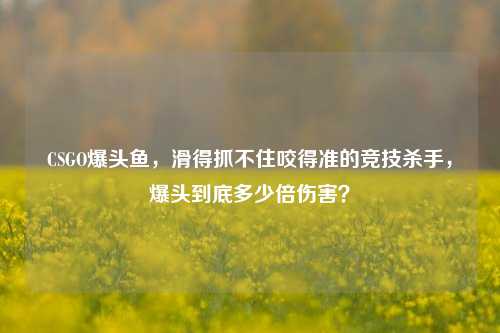 CSGO爆头鱼，滑得抓不住咬得准的竞技杀手，爆头到底多少倍伤害？