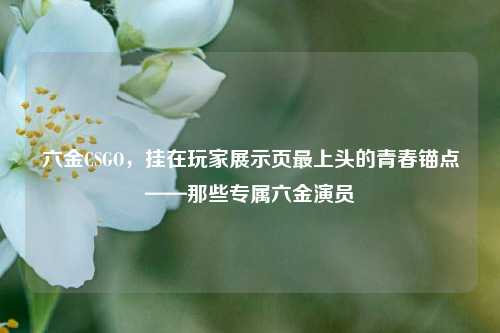 六金CSGO，挂在玩家展示页最上头的青春锚点——那些专属六金演员