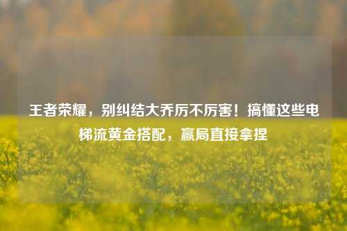 王者荣耀，别纠结大乔厉不厉害！搞懂这些电梯流黄金搭配，赢局直接拿捏