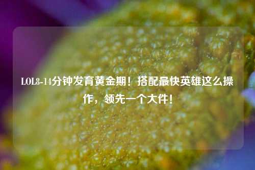 LOL8-14分钟发育黄金期！搭配最快英雄这么操作，领先一个大件！