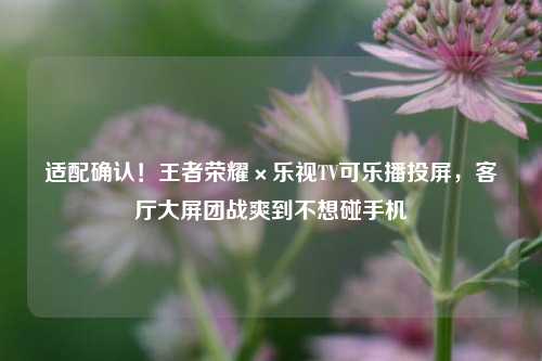 适配确认！王者荣耀×乐视TV可乐播投屏，客厅大屏团战爽到不想碰手机