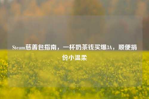 Steam慈善包指南，一杯奶茶钱买爆3A，顺便捐份小温柔