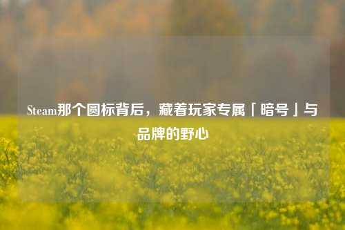 Steam那个圆标背后，藏着玩家专属「暗号」与品牌的野心