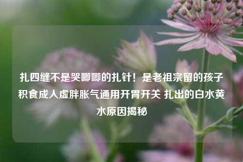 扎四缝不是哭唧唧的扎针！是老祖宗留的孩子积食成人虚胖胀气通用开胃开关 扎出的白水黄水原因揭秘