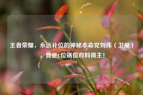 王者荣耀，永远补位的神秘本命党刘伟（卫星），竟是C位锅位双料得主！