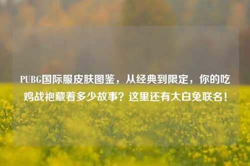 PUBG国际服皮肤图鉴，从经典到限定，你的吃鸡战袍藏着多少故事？这里还有大白兔联名！