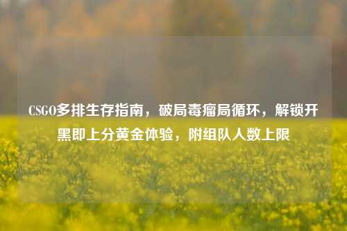 CSGO多排生存指南，破局毒瘤局循环，解锁开黑即上分黄金体验，附组队人数上限