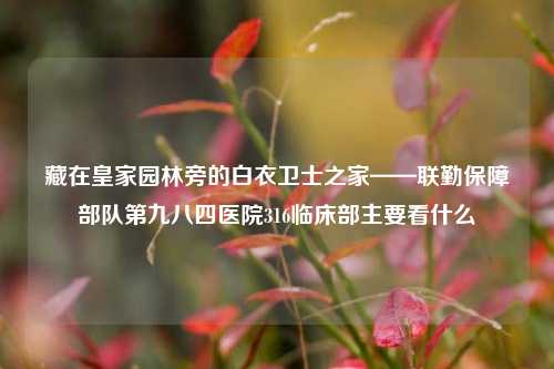 藏在皇家园林旁的白衣卫士之家——联勤保障部队第九八四医院316临床部主要看什么