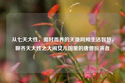 从七天大性，循时而养的天地同频生活智慧，聊齐天大性之大闹女儿国里的唐僧扮演者