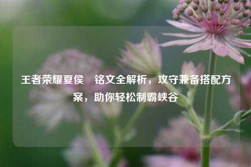 王者荣耀夏侯惇铭文全解析，攻守兼备搭配方案，助你轻松制霸峡谷