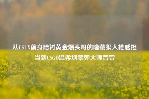 从CS1.X前身陪衬黄金爆头哥的隐藏狠人枪感担当到CSGO温柔烟幕弹大师曾曾