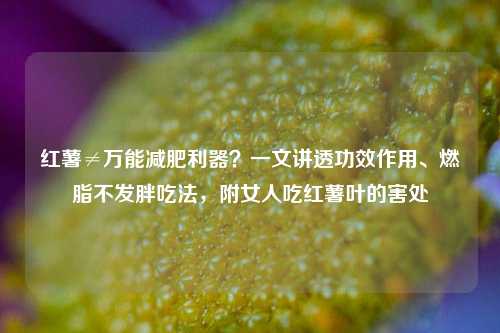 红薯≠万能减肥利器？一文讲透功效作用、燃脂不发胖吃法，附女人吃红薯叶的害处