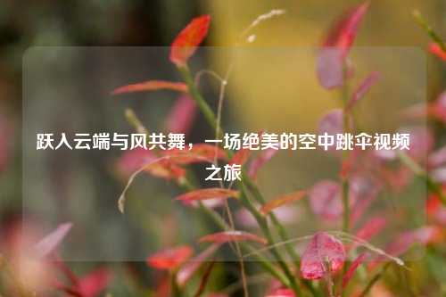 跃入云端与风共舞，一场绝美的空中跳伞视频之旅