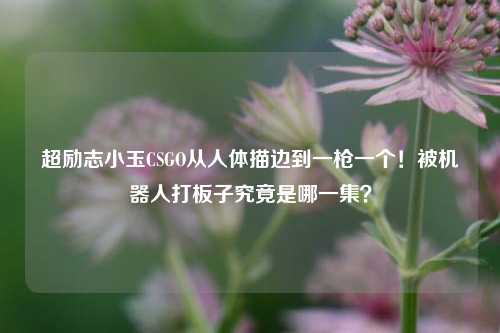超励志小玉CSGO从人体描边到一枪一个！被机器人打板子究竟是哪一集？