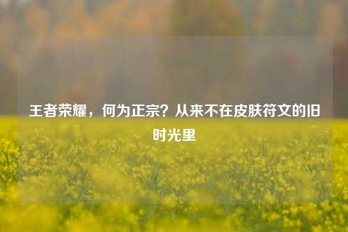 王者荣耀，何为正宗？从来不在皮肤符文的旧时光里