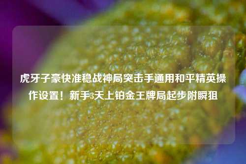 虎牙子豪快准稳战神局突击手通用和平精英操作设置！新手3天上铂金王牌局起步附瞬狙