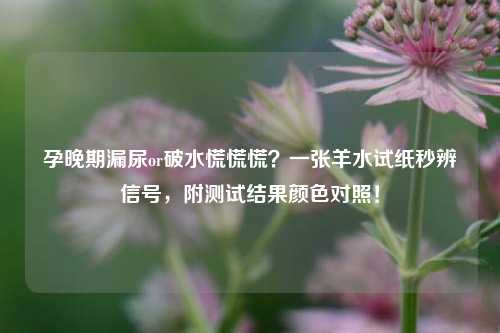 孕晚期漏尿or破水慌慌慌？一张羊水试纸秒辨信号，附测试结果颜色对照！