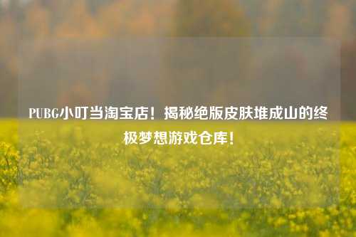 PUBG小叮当淘宝店！揭秘绝版皮肤堆成山的终极梦想游戏仓库！