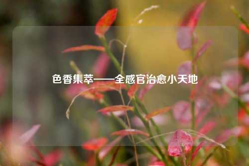 色香集萃——全感官治愈小天地