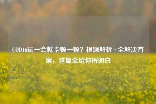 COD16玩一会就卡顿一顿？根源解析+全解决方案，这篇全给你捋明白