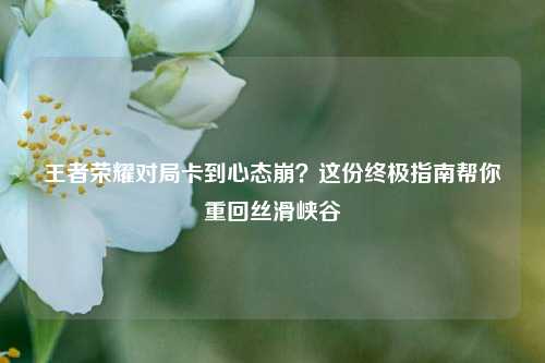 王者荣耀对局卡到心态崩？这份终极指南帮你重回丝滑峡谷