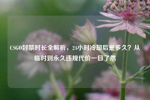 CSGO封禁时长全解析，24小时冷却后是多久？从临时到永久违规代价一目了然