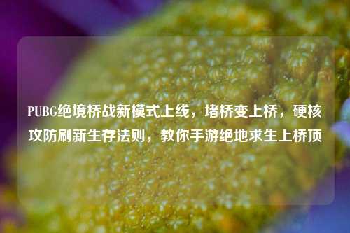 PUBG绝境桥战新模式上线，堵桥变上桥，硬核攻防刷新生存法则，教你手游绝地求生上桥顶