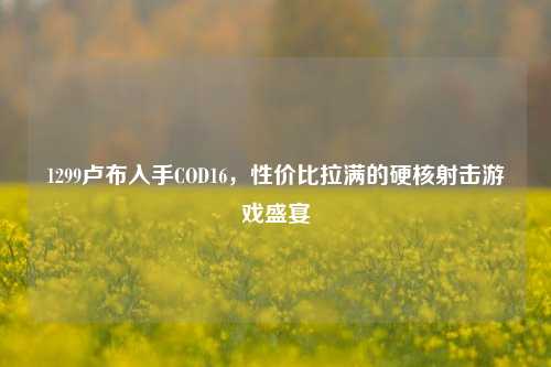 1299卢布入手COD16，性价比拉满的硬核射击游戏盛宴