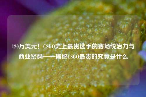 120万美元！CSGO史上最贵选手的赛场统治力与商业密码——揭秘CSGO最贵的究竟是什么