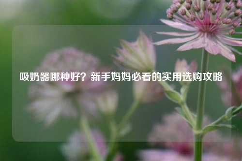 吸奶器哪种好？新手妈妈必看的实用选购攻略