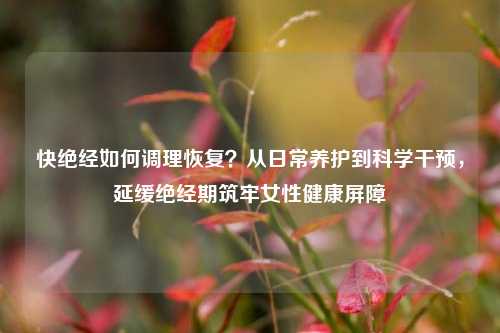 快绝经如何调理恢复？从日常养护到科学干预，延缓绝经期筑牢女性健康屏障